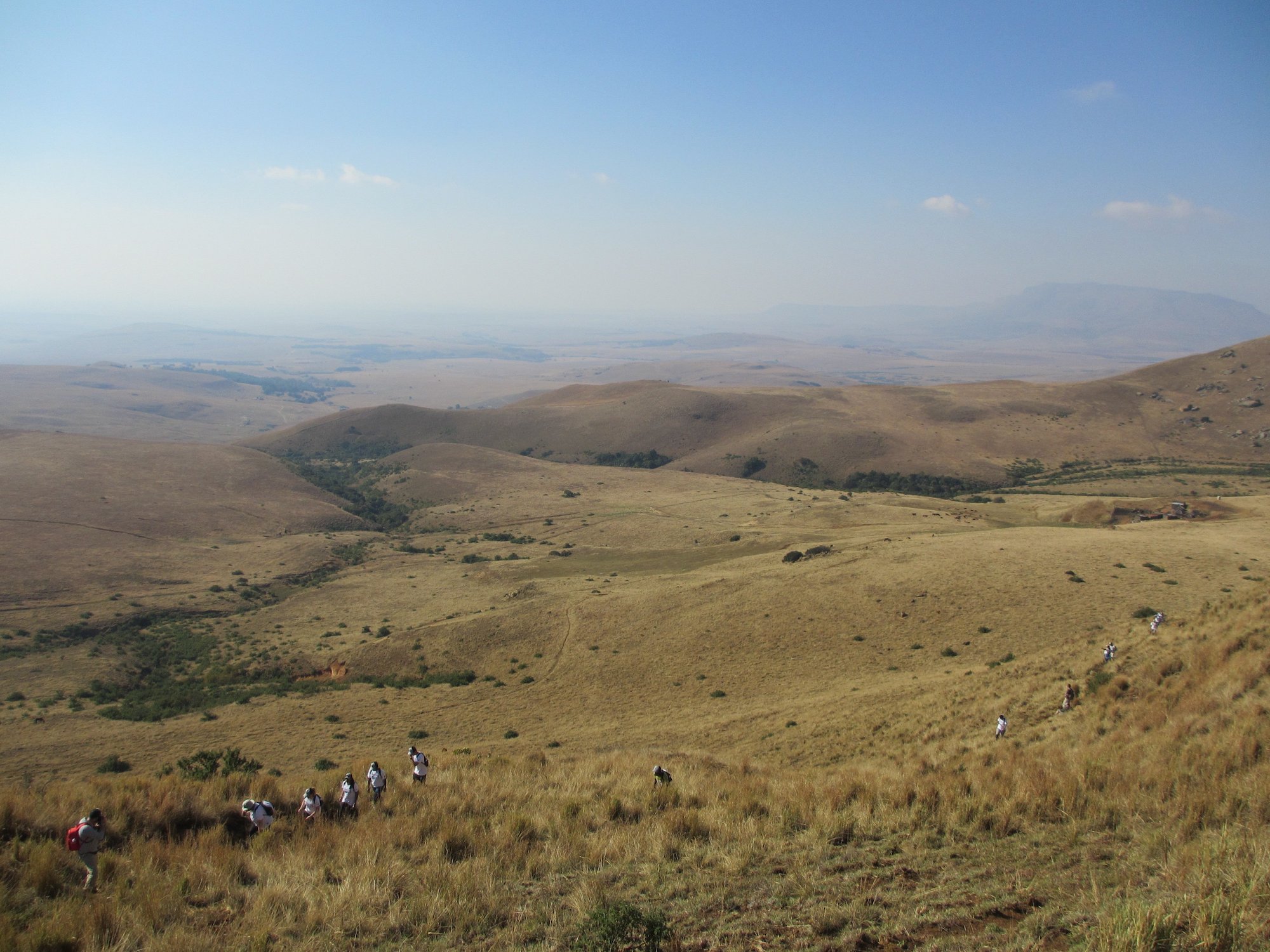 Mec Opens Up The Way For Mining In Protected Mpumalanga Grasslands Myza